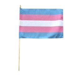 TRANS håndflagg